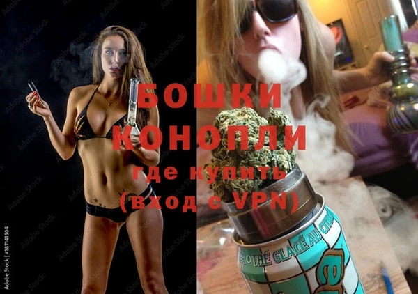 PSILOCYBIN Покров