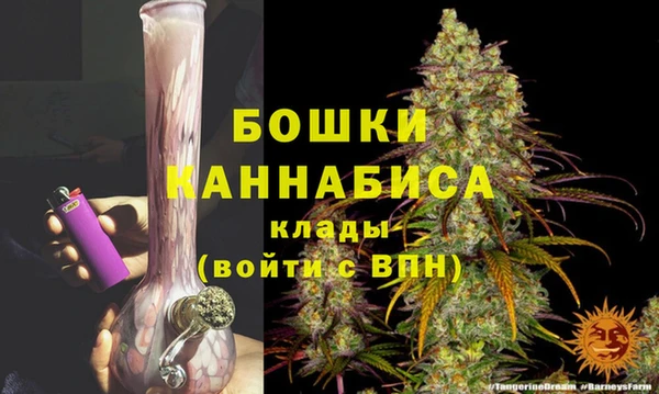 PSILOCYBIN Покров