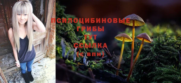 PSILOCYBIN Покров
