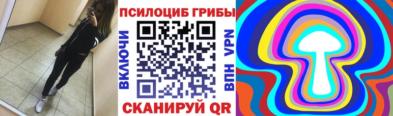 цены   MEGA ссылка  Псилоцибиновые грибы Cubensis  Инза 